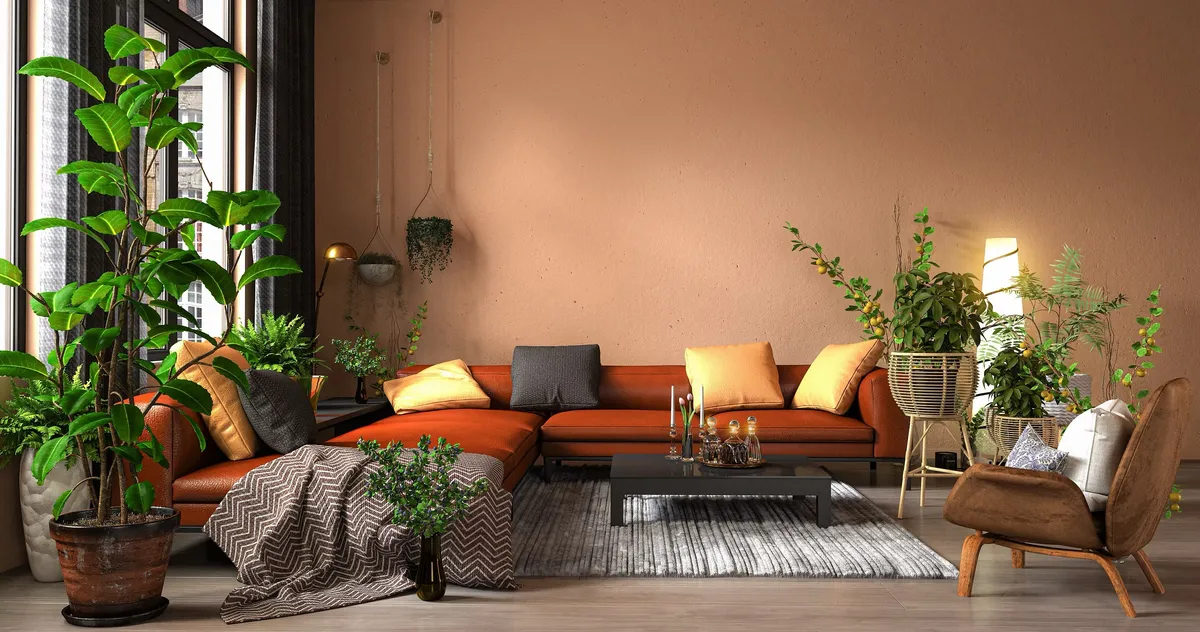 Hortense Conciergerie - Photo 2