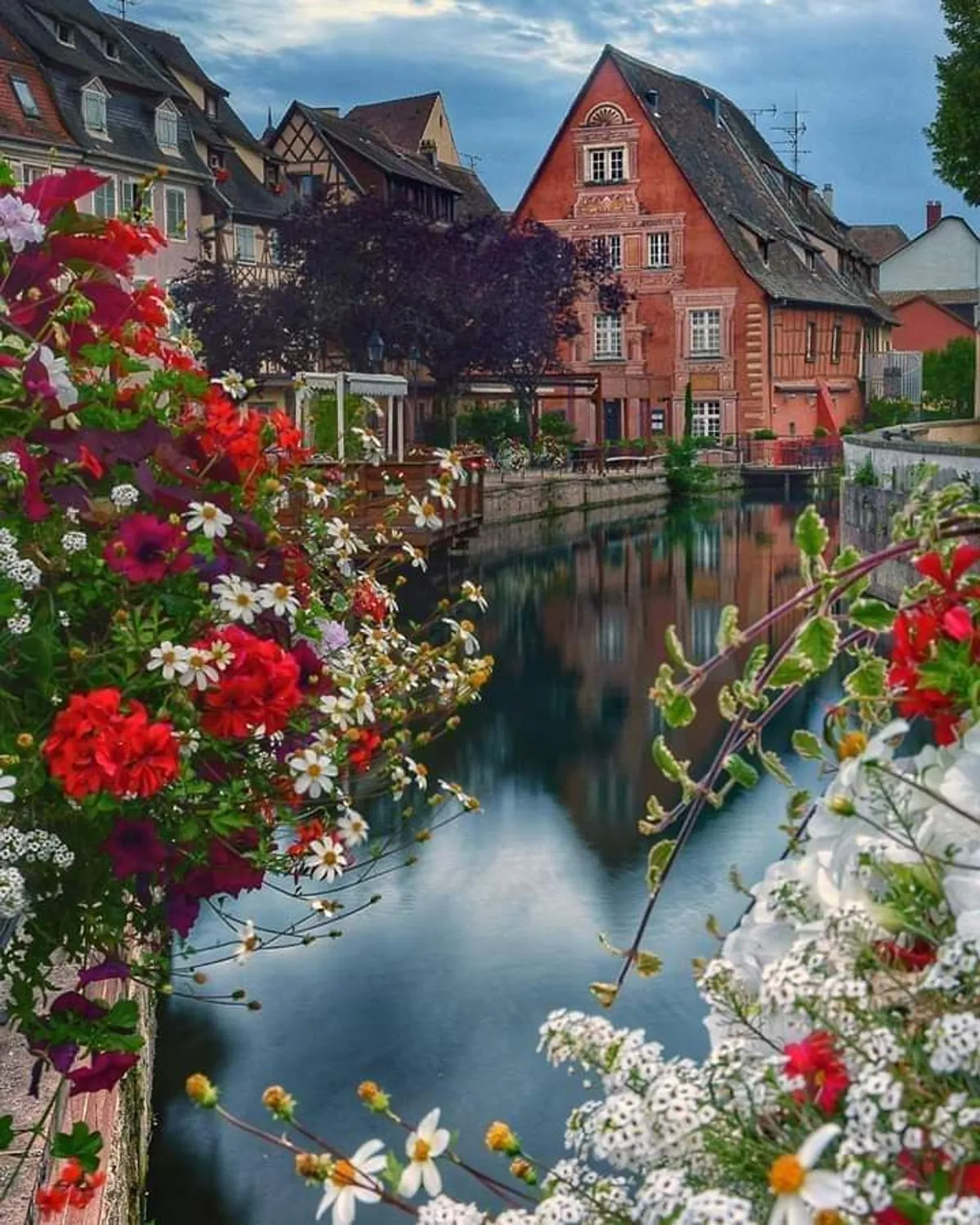 Colmar