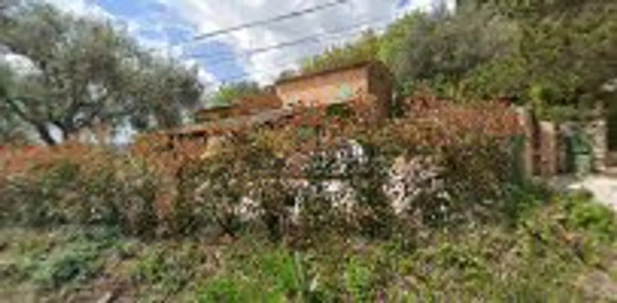 Acacia Conciergerie - Photo 6