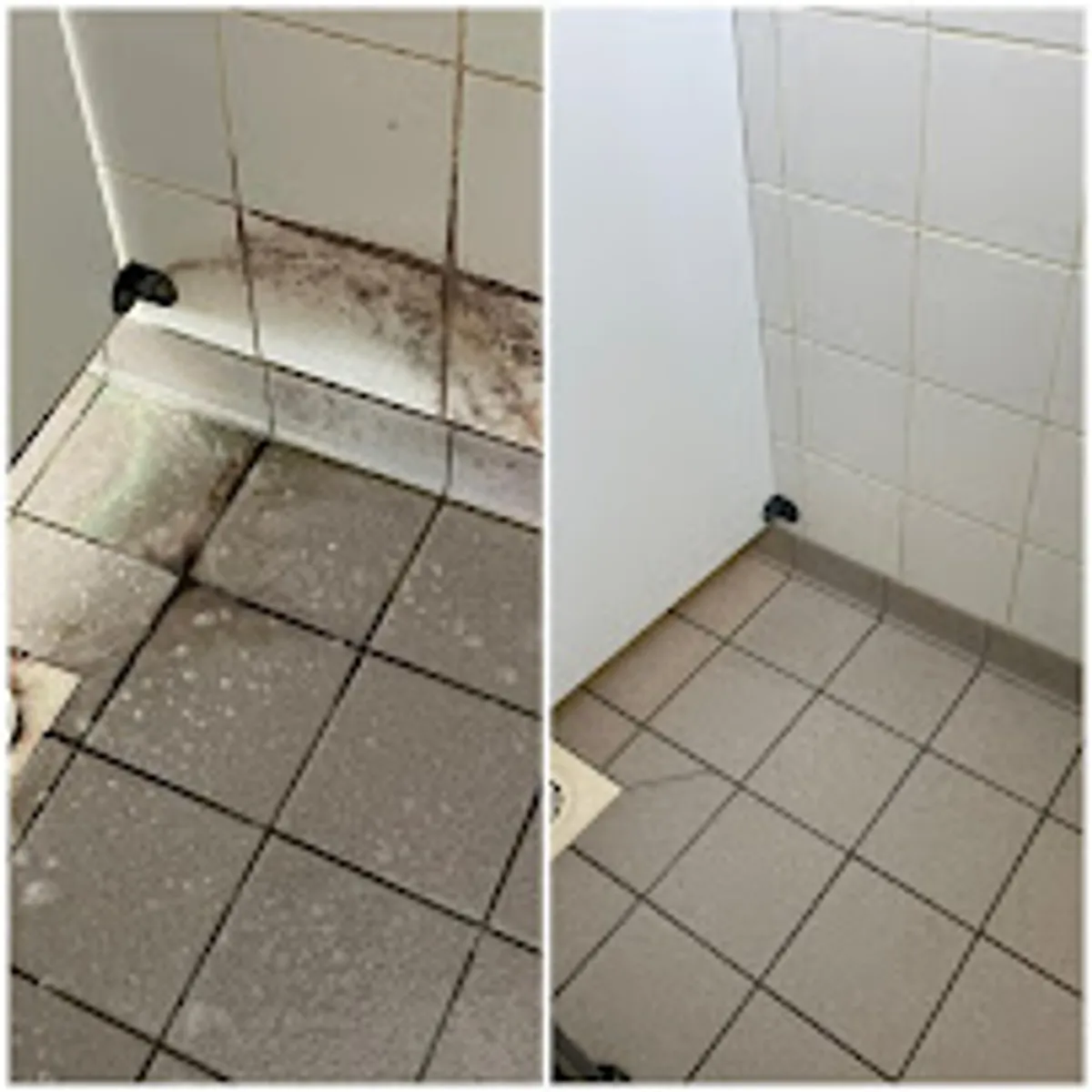 Activ Service Vendée conciergerie et entretien - Photo 8