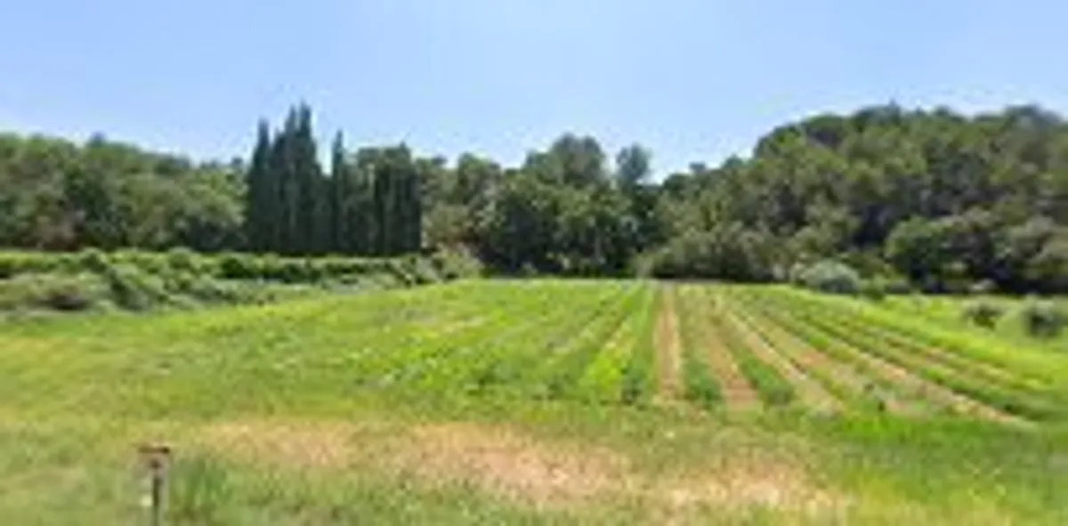 Admin'business - Assistante administrative - Secrétaire indépendante sur site et à distance - Photo 2