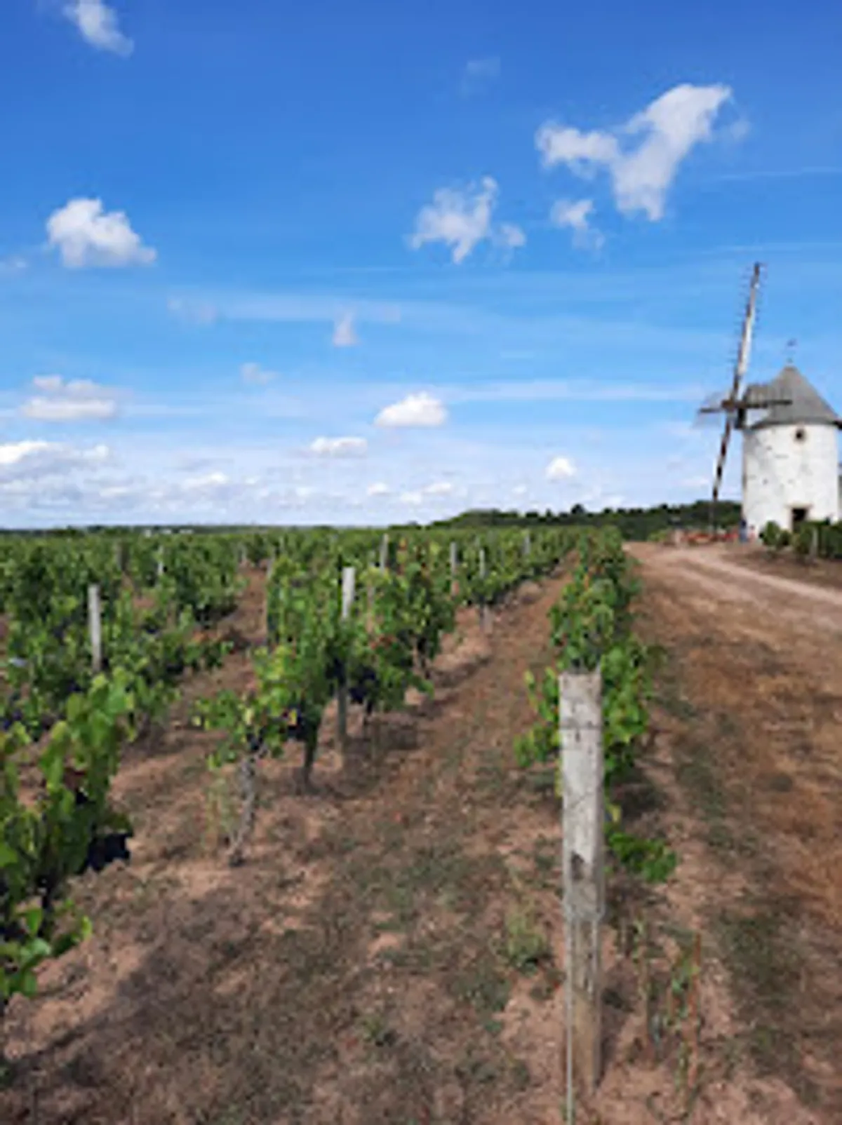 Agence Grolleau - Photo 2