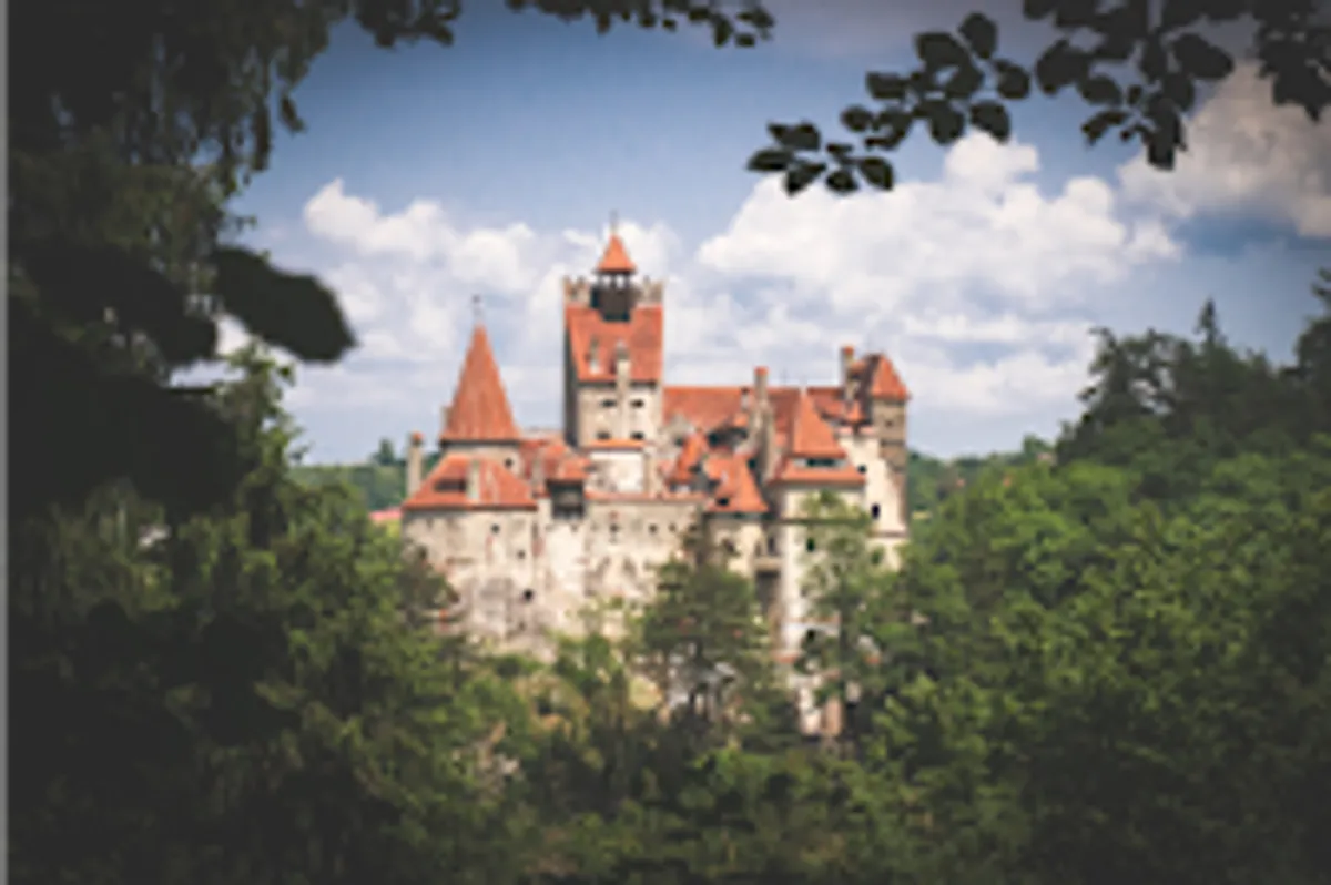 Agence Nestenn Immobilier Grenoble - Photo 4