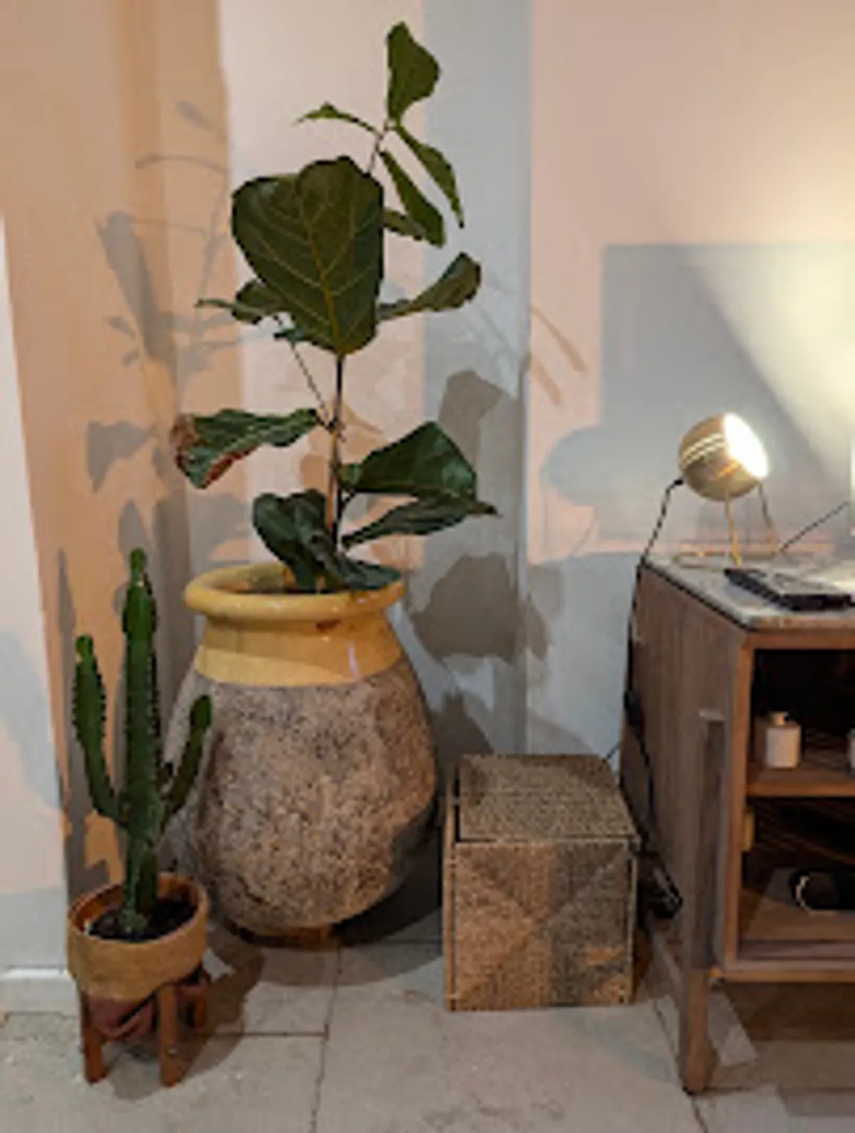 Aim'Ana Conciergerie - Photo 6