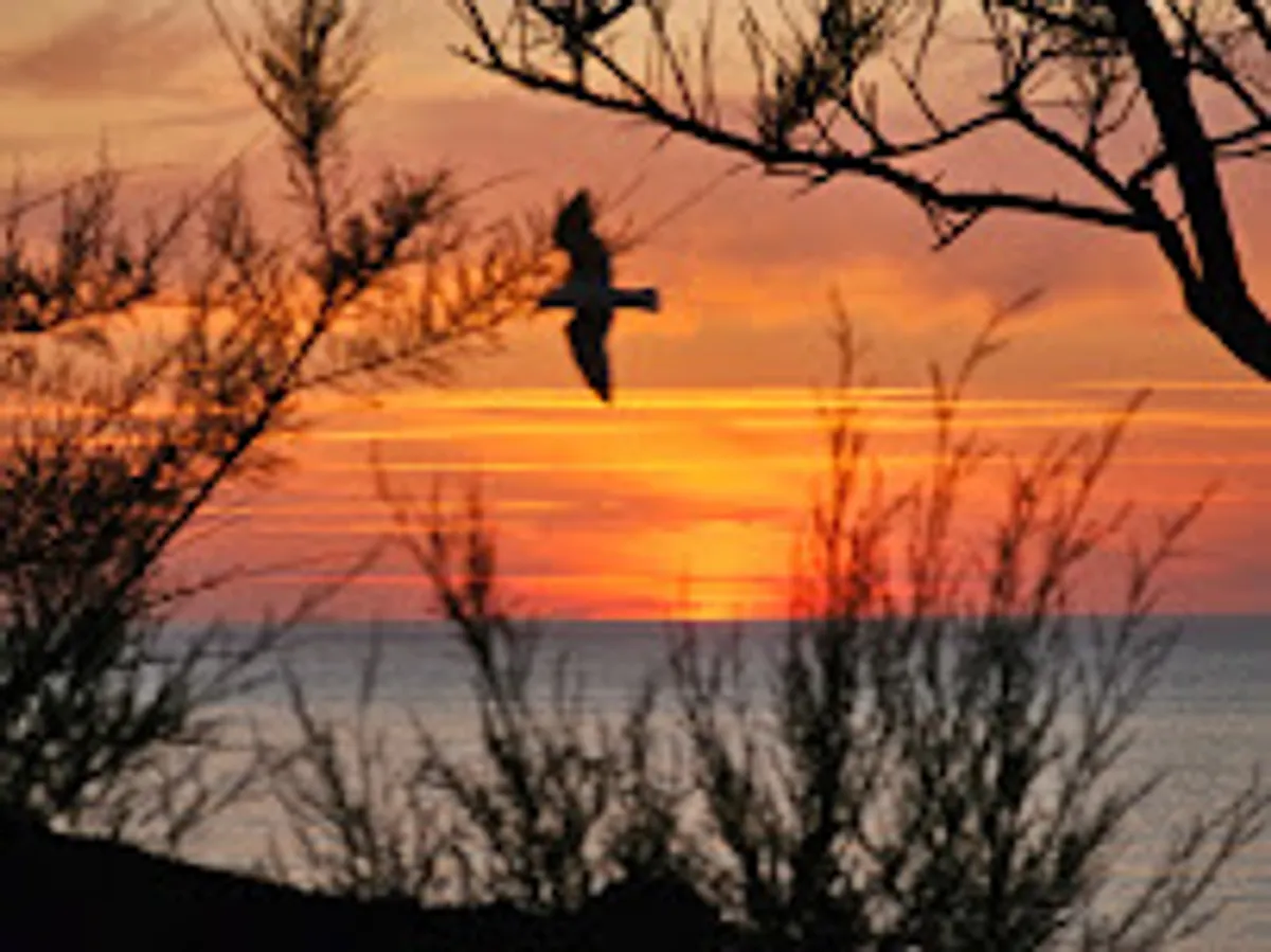 AirBasknBéarn - Photo 7