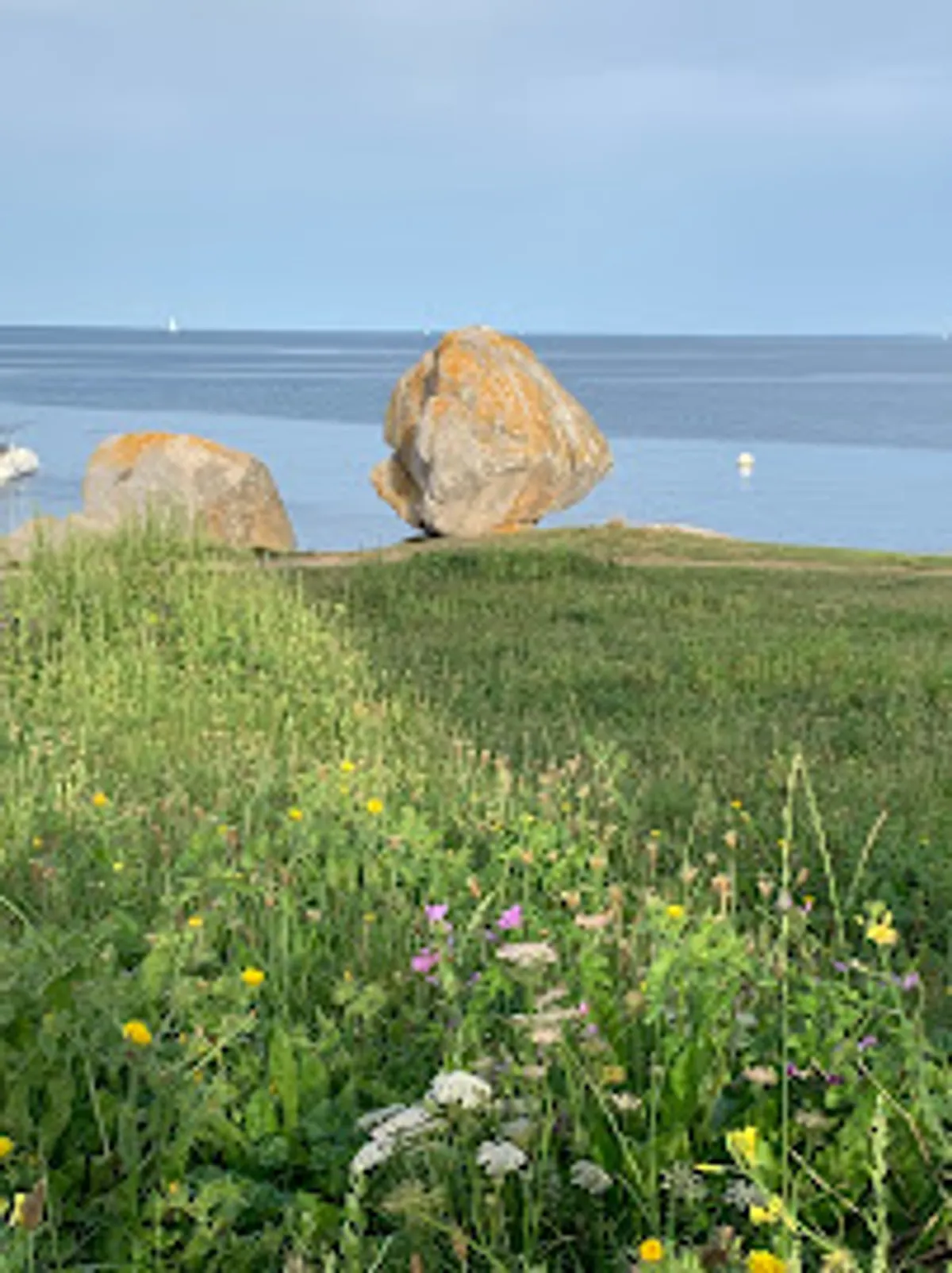 Alé Conciergerie - Photo 4
