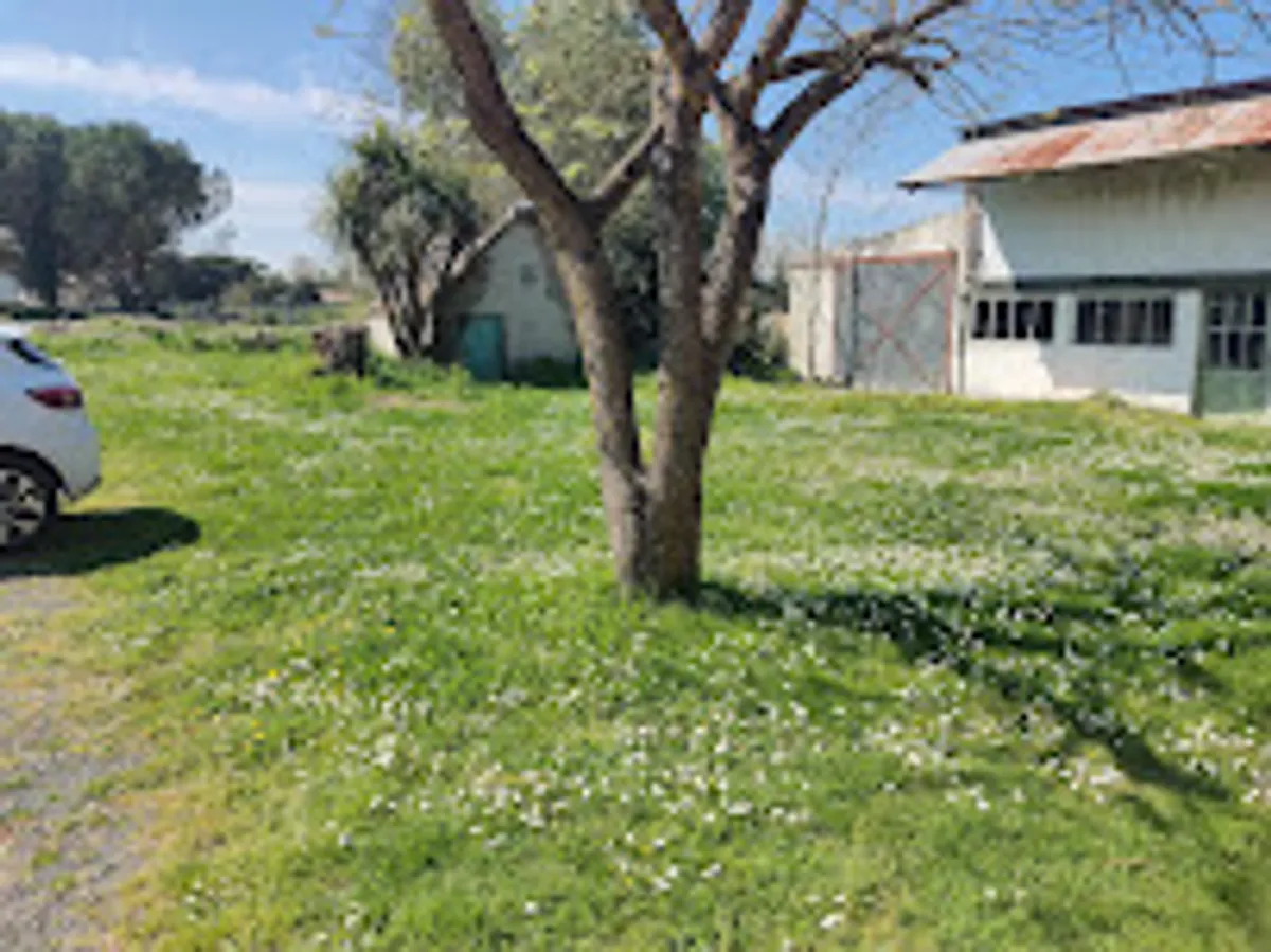 Alex Services 85 - Photo 2