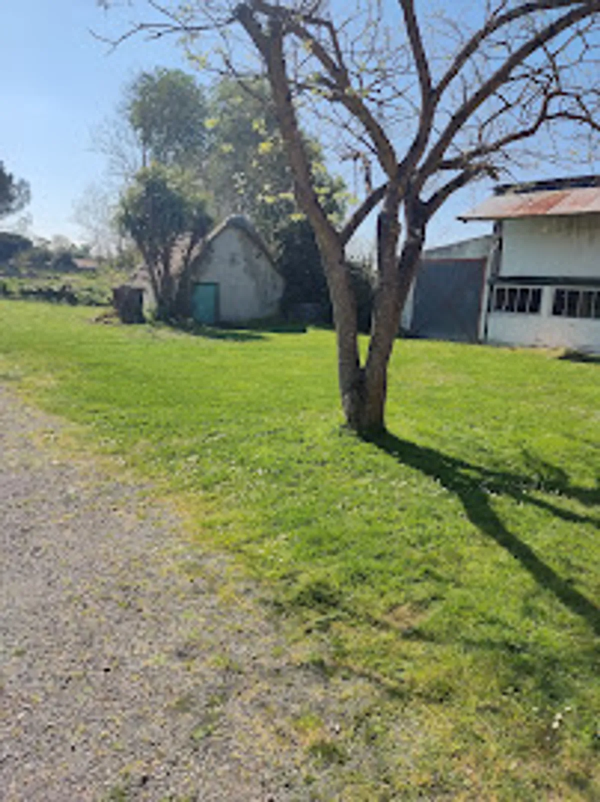 Alex Services 85 - Photo 6