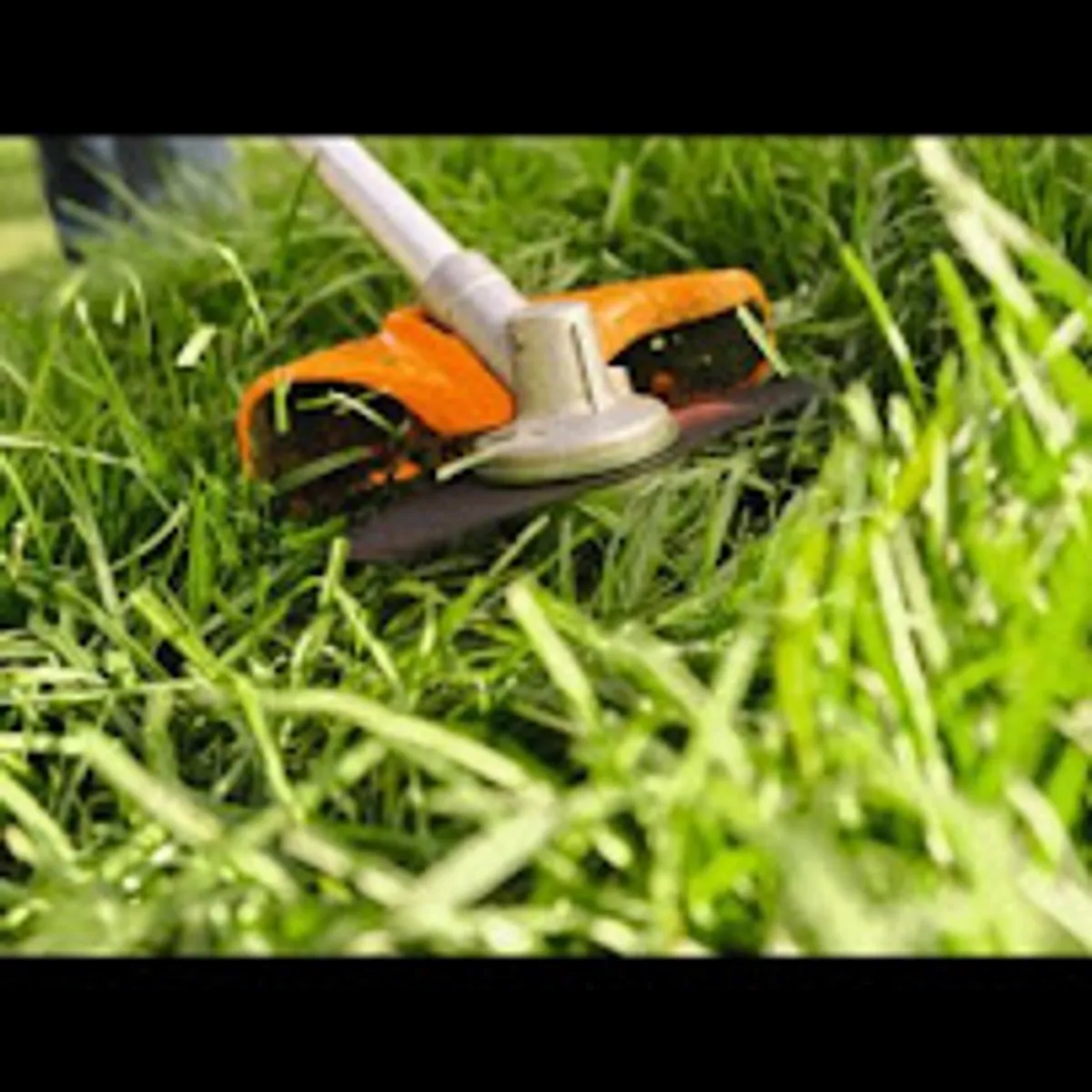 Alex Services 85 - Photo 7