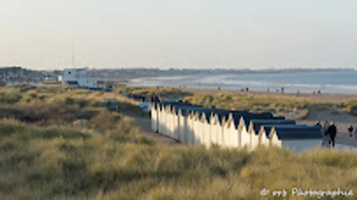 Aloha Conciergerie - Photo 2