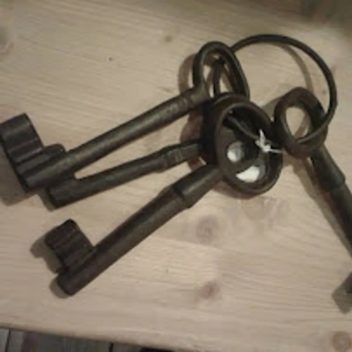 Alpes Conciergerie - Photo 4