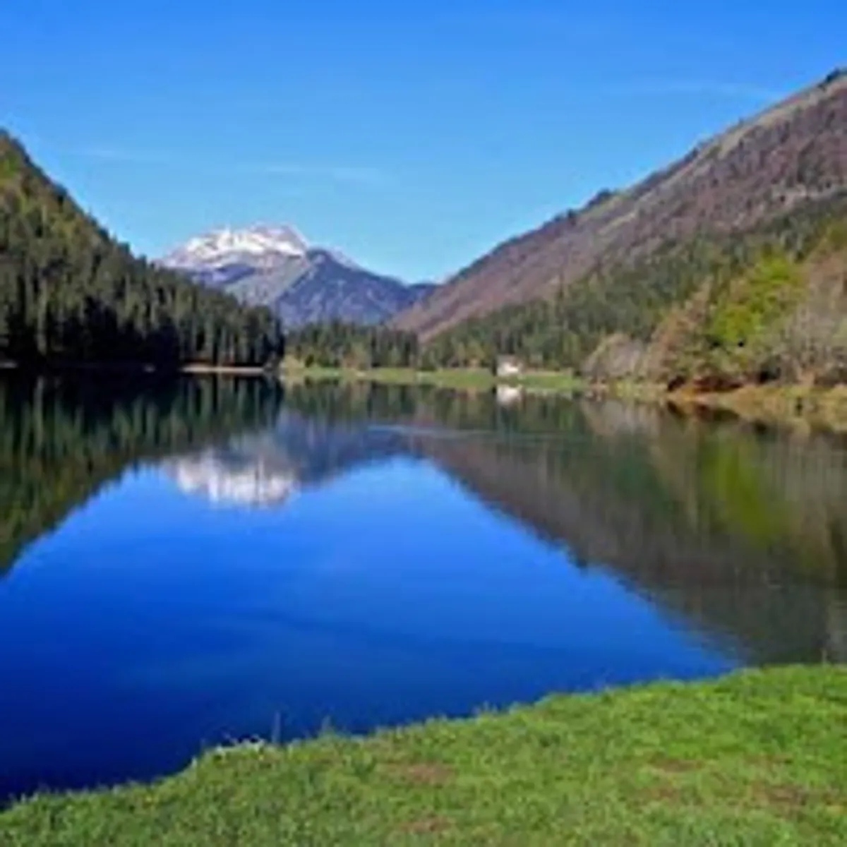 Alpes Conciergerie - Photo 5