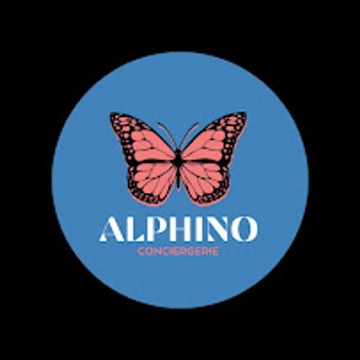 ALPHINO Conciergerie Limoges - Photo 5