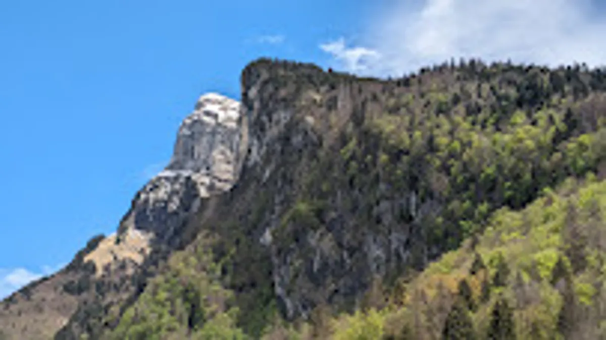 Alpina Conciergerie - Photo 3