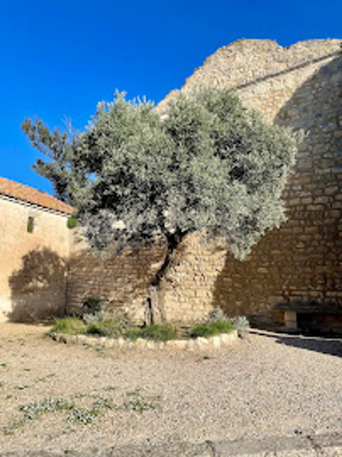 Angie&Keys Conciergerie - Photo 4