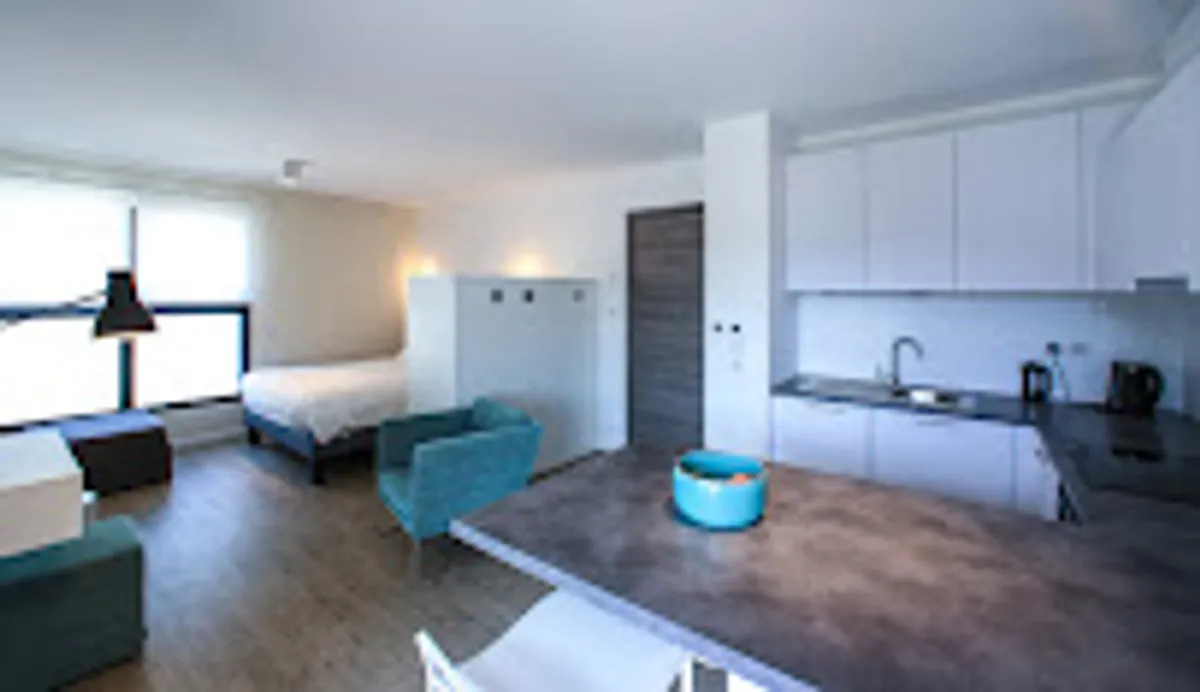 Apparthôtel Côte Ouest Annecy - Photo 7