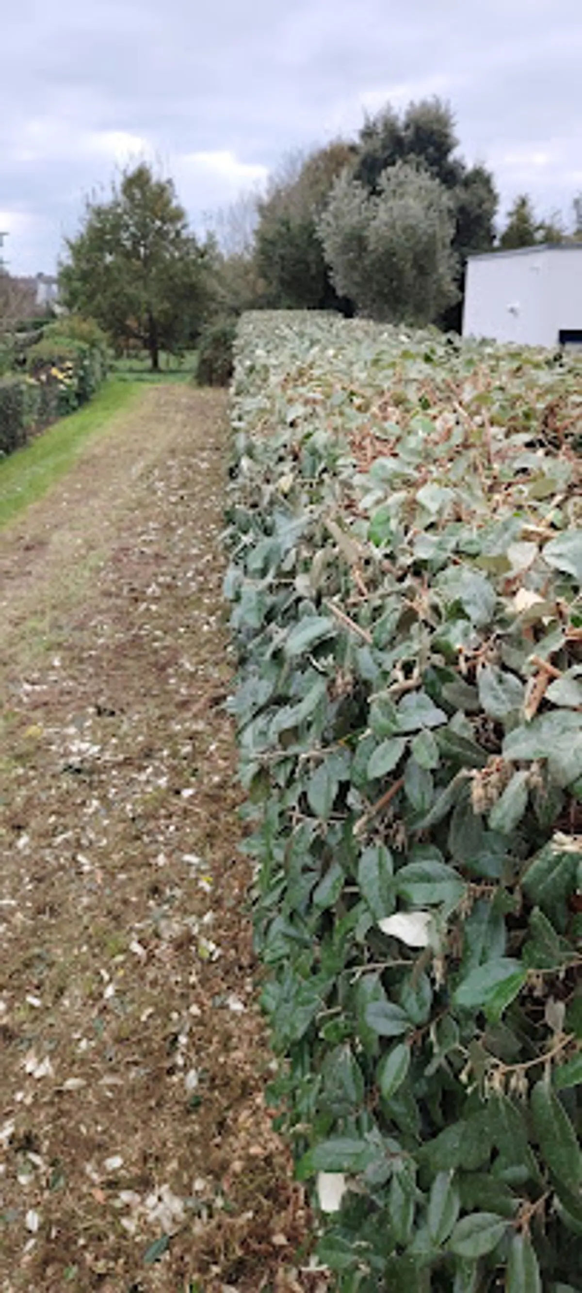 Atout Services & Les Clefs de Rhuys (Services pour Particuliers, Propriétaires , Professionnels) - Photo 2