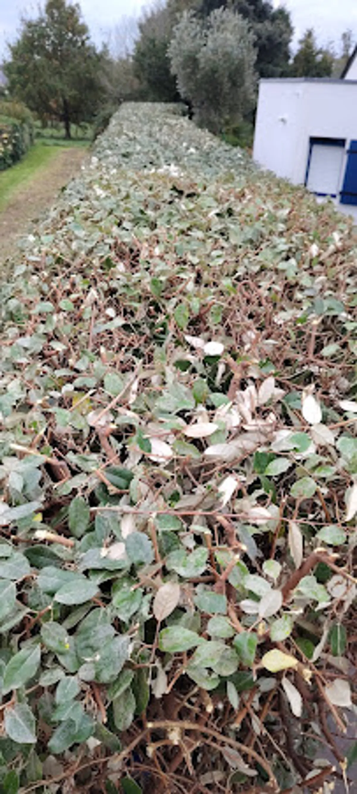 Atout Services & Les Clefs de Rhuys (Services pour Particuliers, Propriétaires , Professionnels) - Photo 3