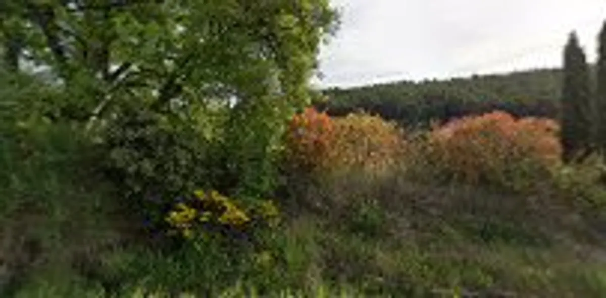 Au Pied des Vignes - Photo 9