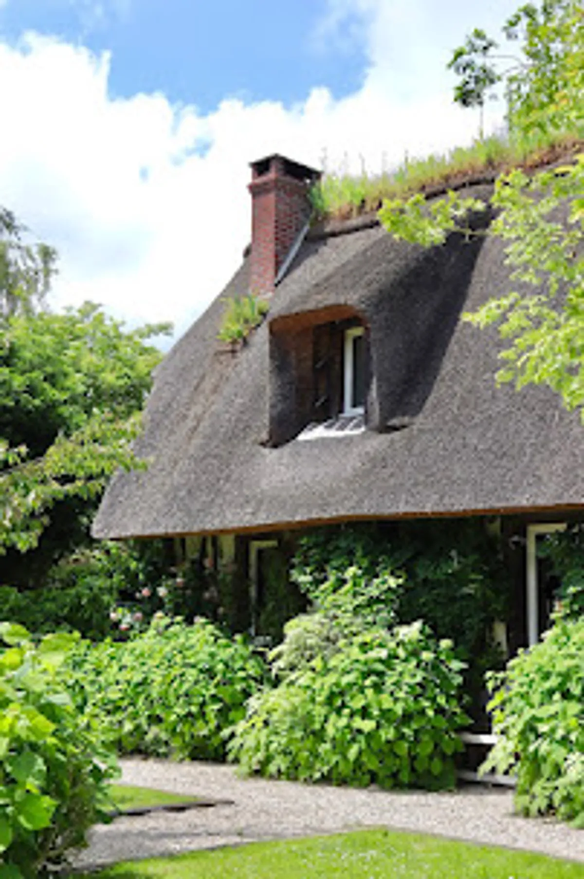 AUGIA CONCIERGERIE - Photo 2