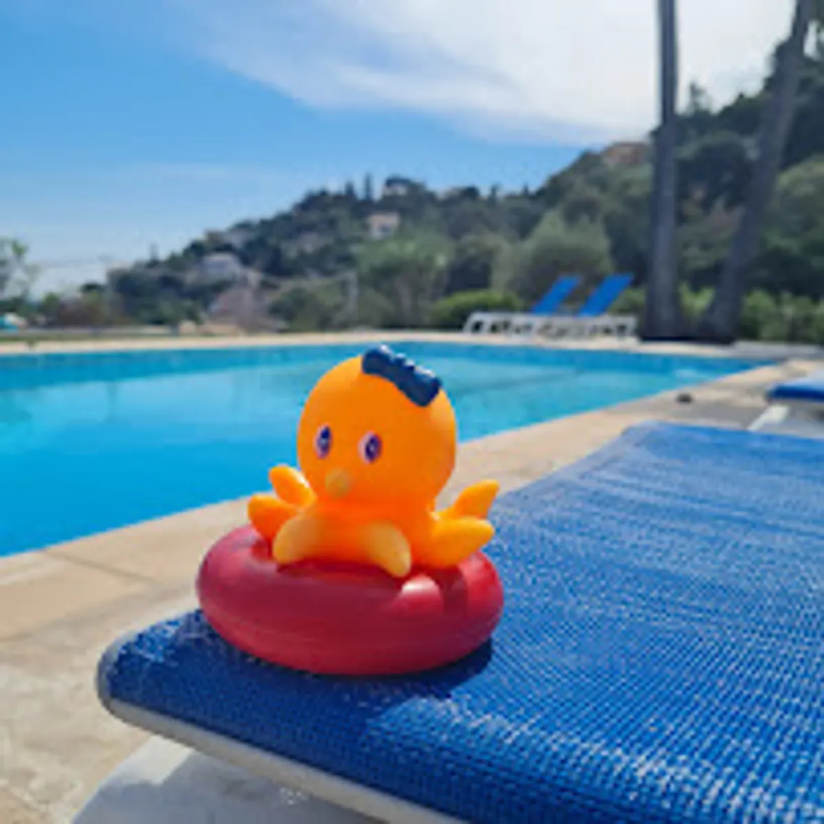 BACCHI Conciergerie & Services - Photo 3