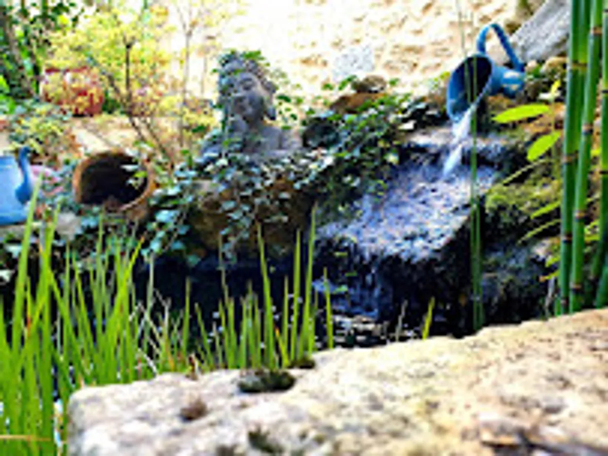 Bastides Eugénie, meublés de tourisme & Conciergerie - Photo 7