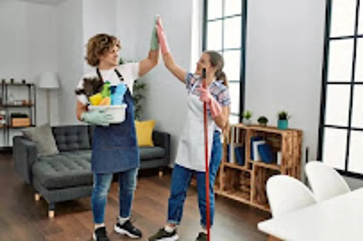 Bibi Conciergerie en Presqu'ile de Crozon - Photo 7