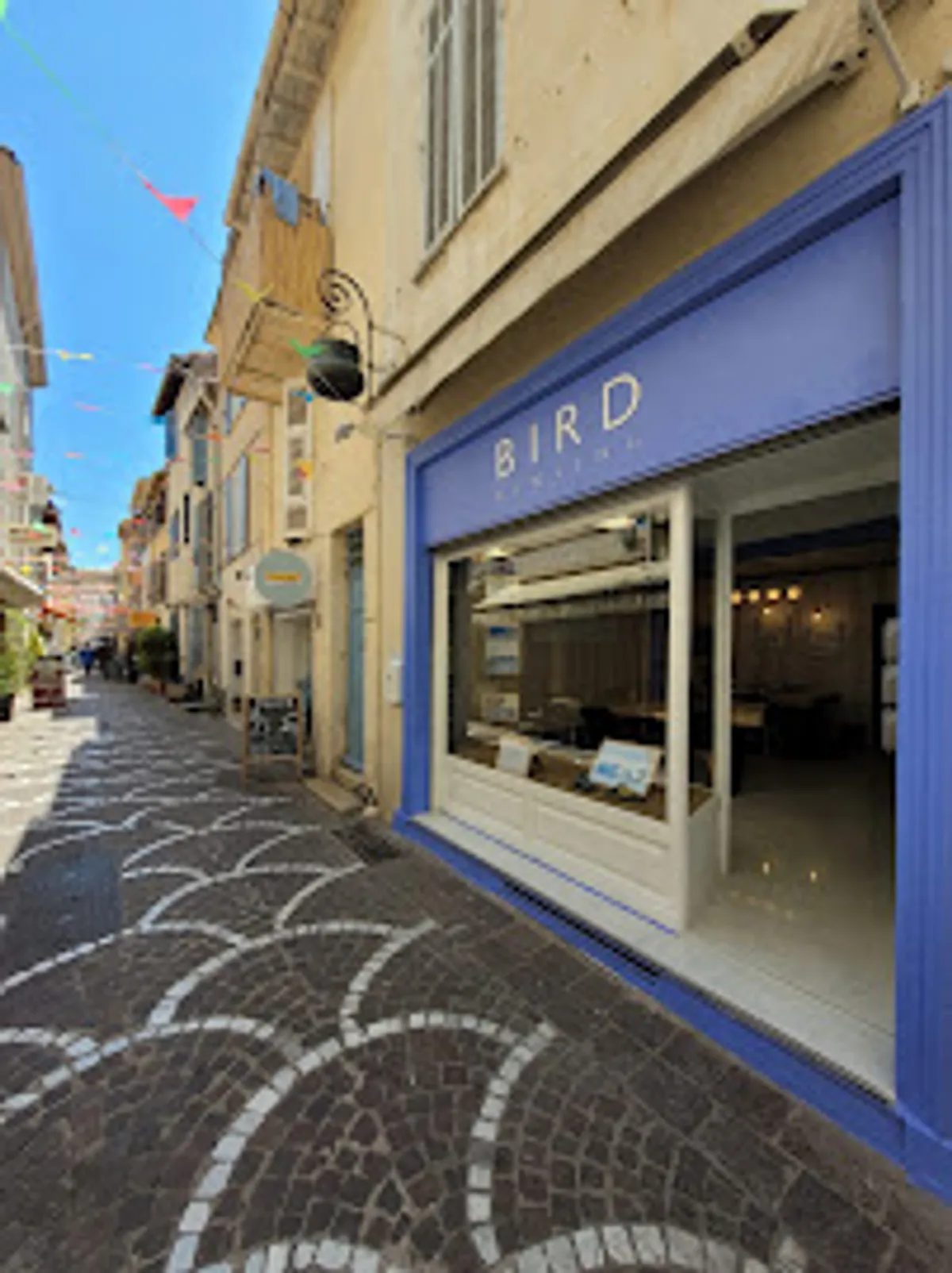 Bird Renting - Photo 3