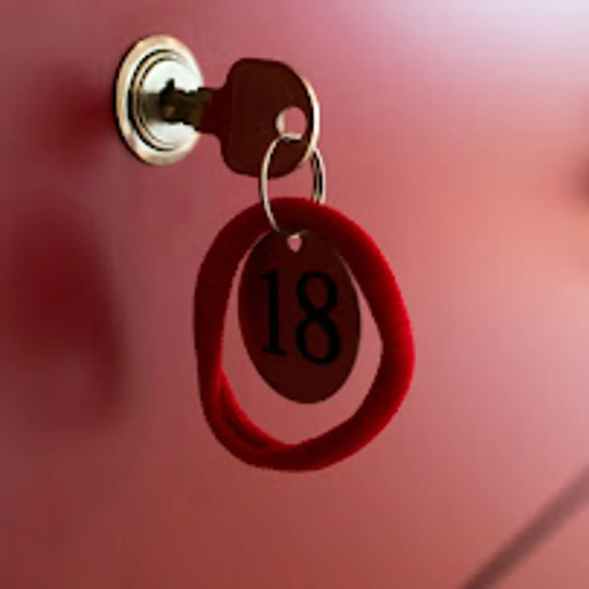 Bolieux Conciergerie - Photo 7