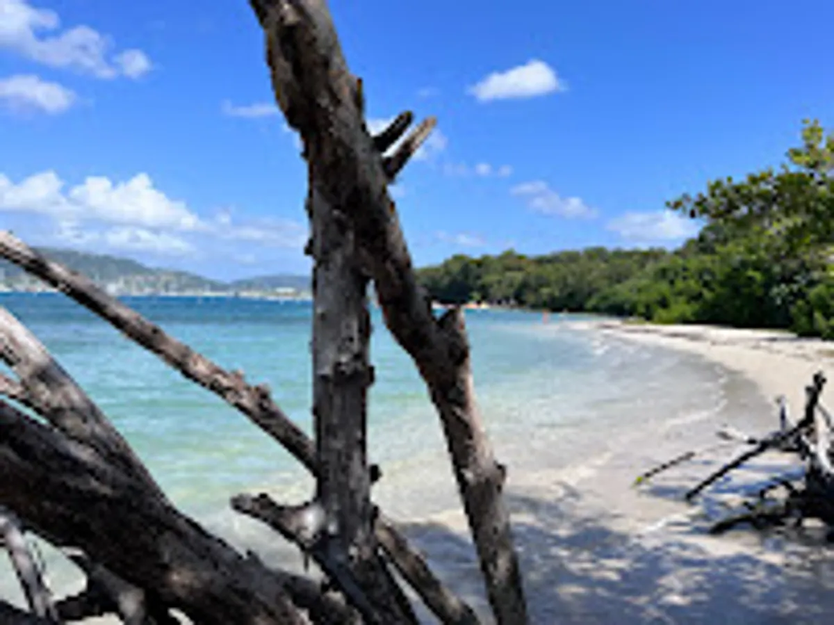 CALYPSO MARTINIQUE - Photo 5