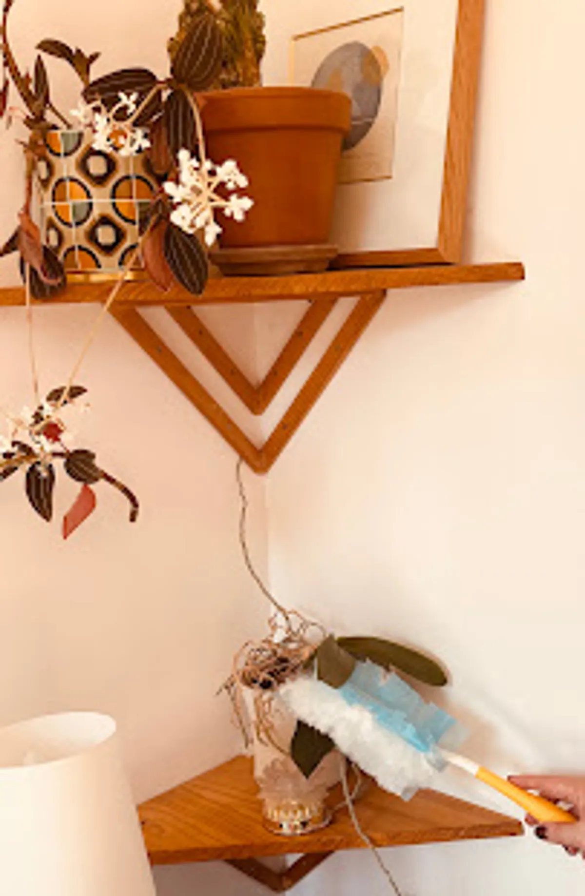 Caribou conciergerie - Photo 9