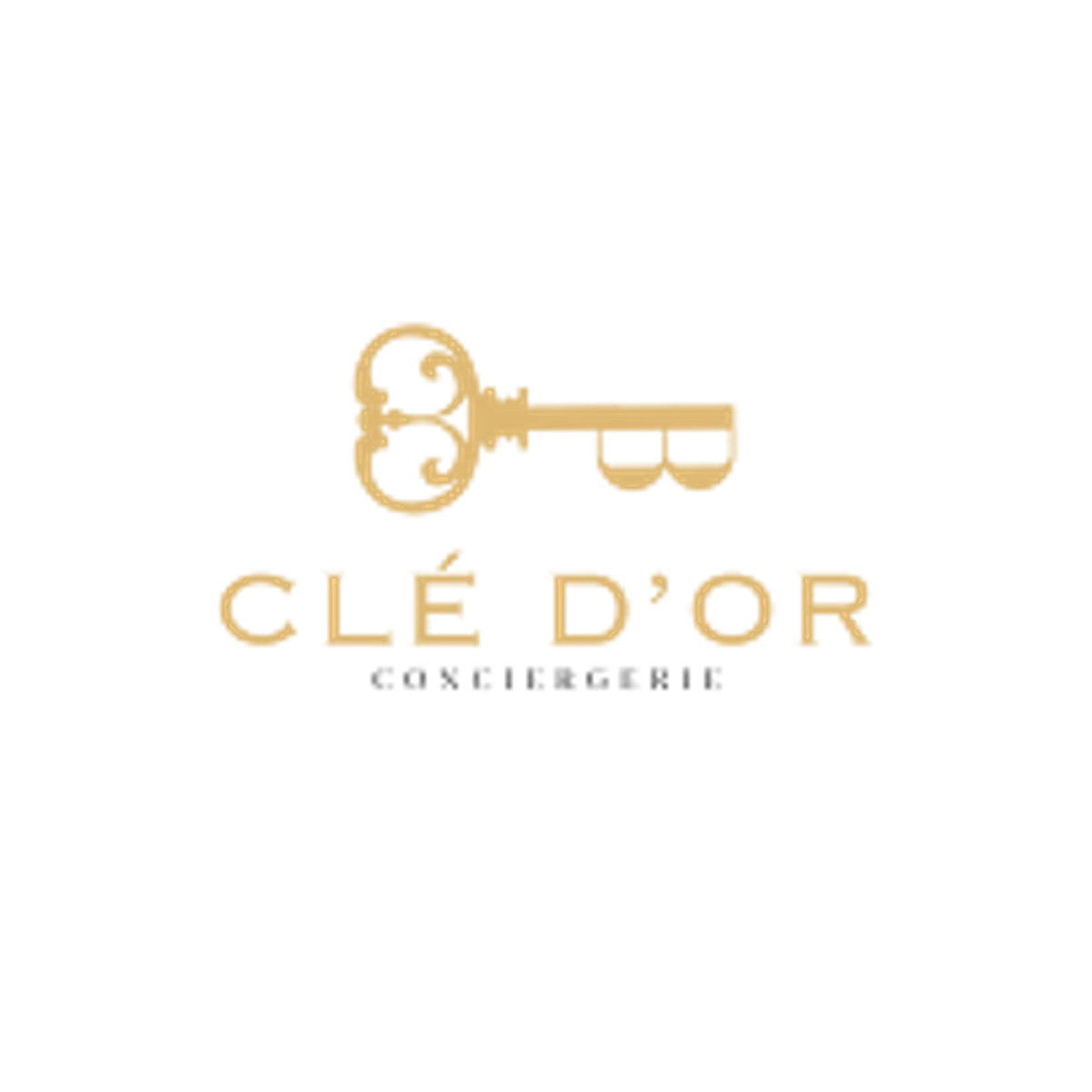 Clé D'or conciergerie - Photo 4