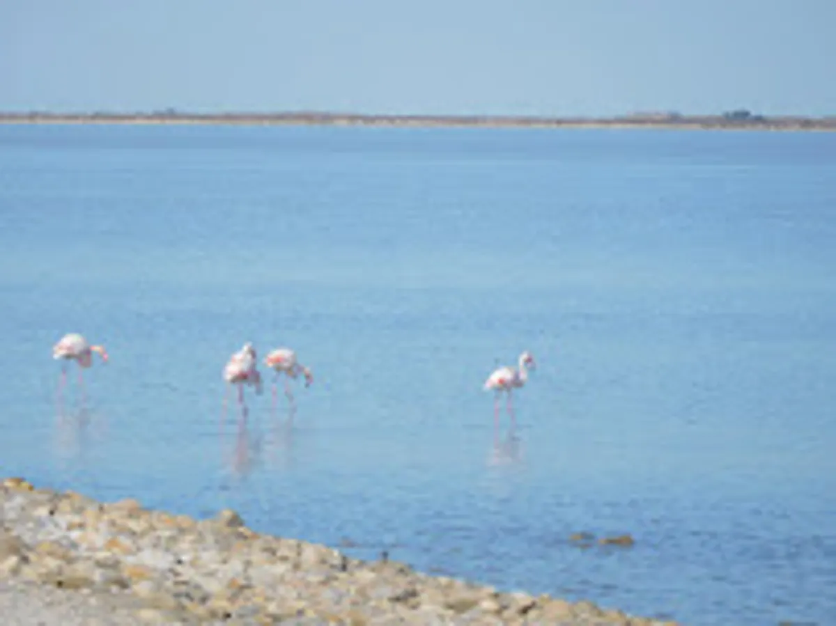 CLETOURISME - Photo 6