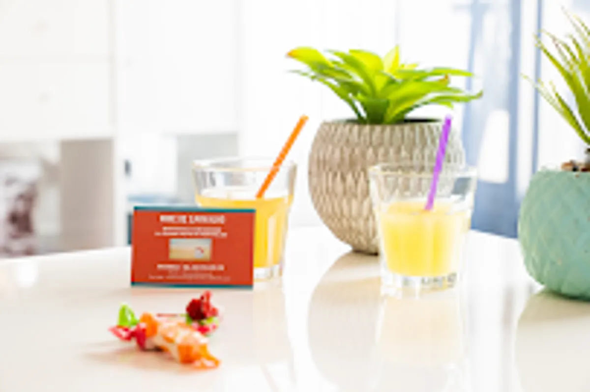 CO Hôte Conciergerie La Grande Motte - Photo 3