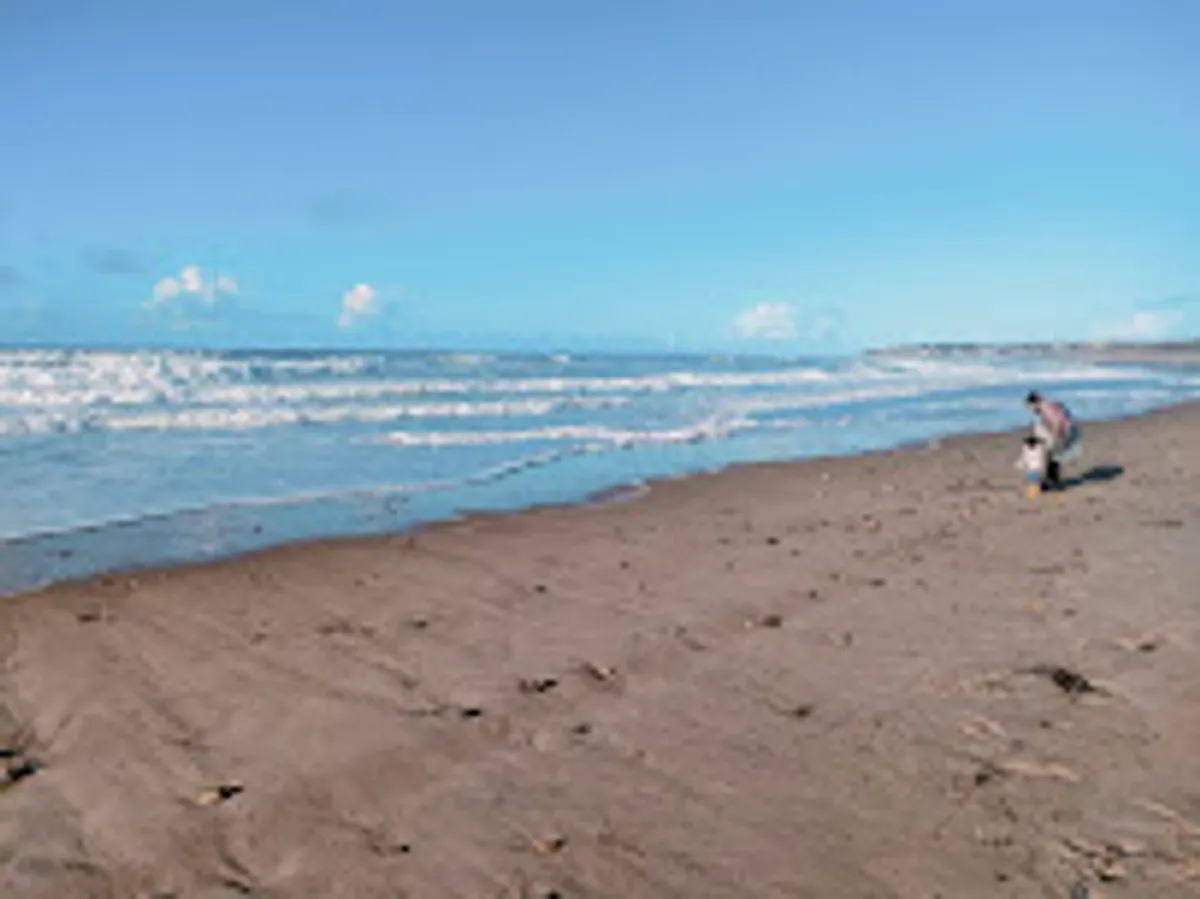 Co-hôte de lumière - Photo 2