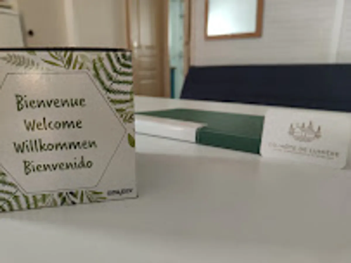 Co-hôte de lumière - Photo 4