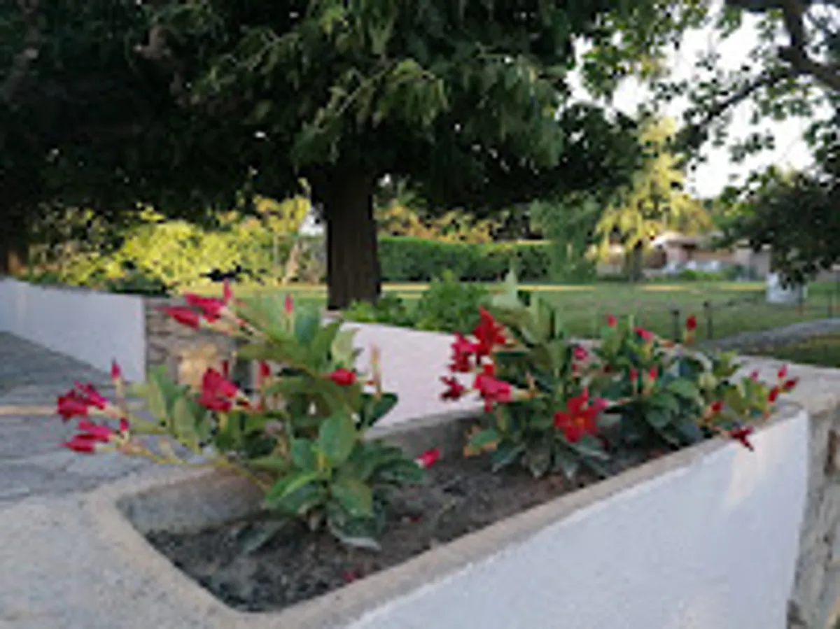 Conciergerie AnnaMae - Photo 4