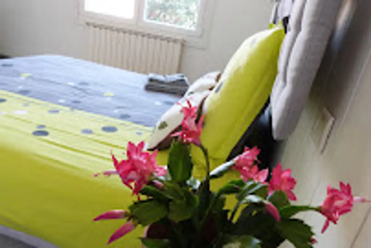 Conciergerie Armondiber - Photo 8