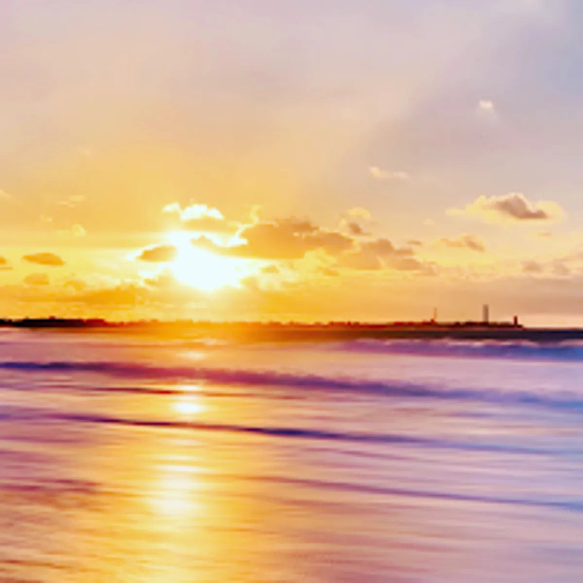 Conciergerie Auguste - Ile de Ré - Photo 6