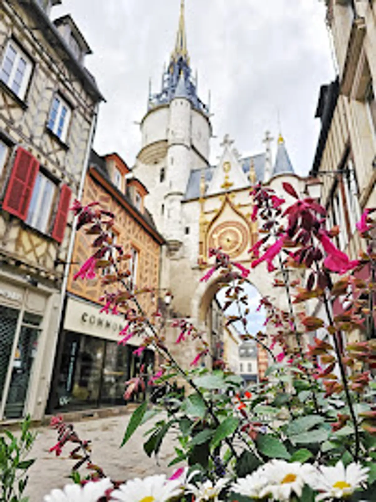 Conciergerie Aux'Cerfs