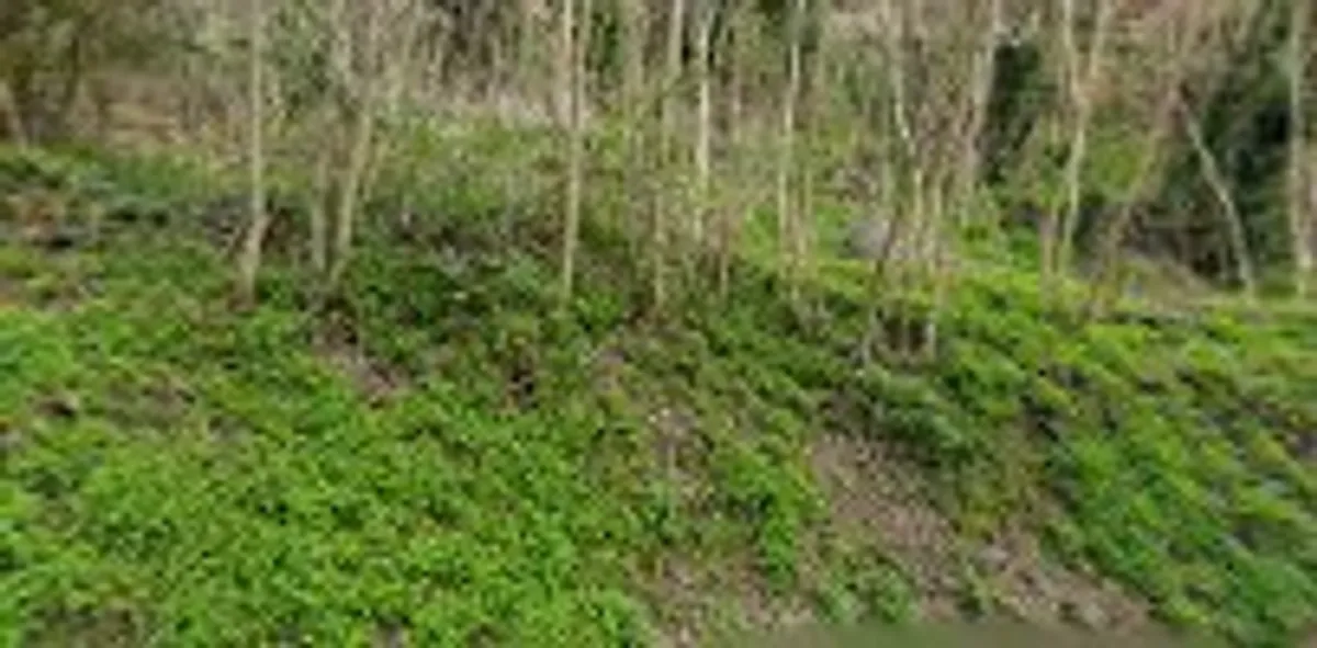 Conciergerie BEAUMONT