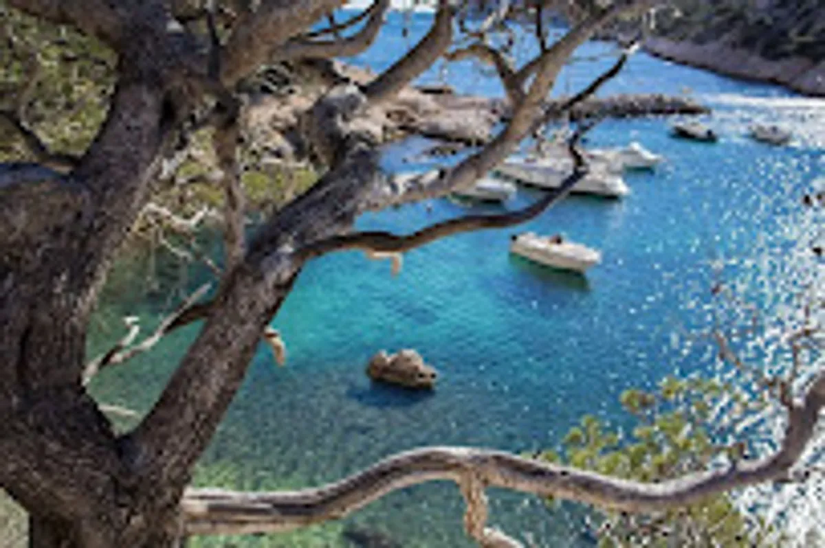 conciergerie by sam - Photo 6