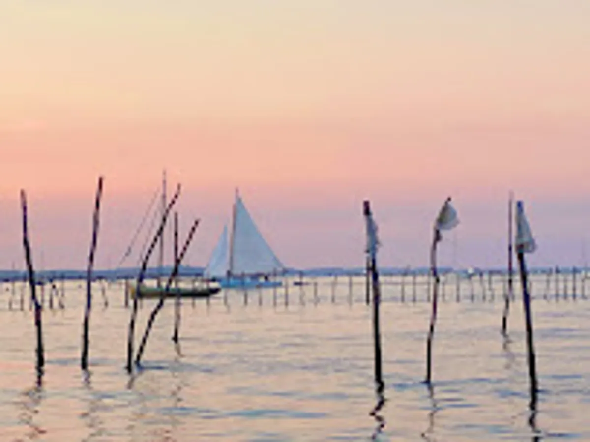 Conciergerie Cap Ferret - CL