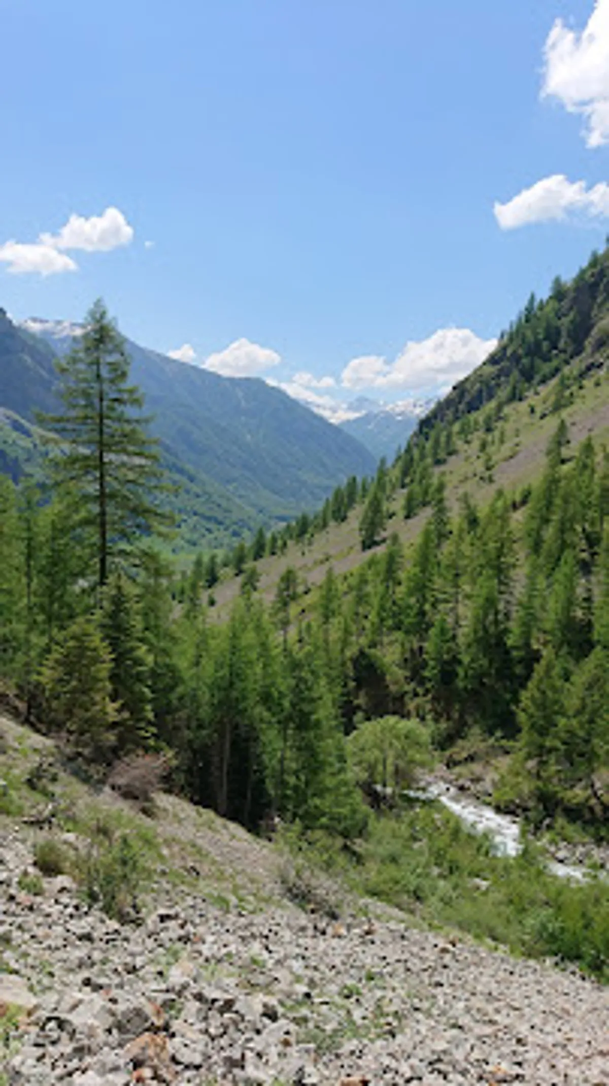 Conciergerie Charlotte - Photo 6