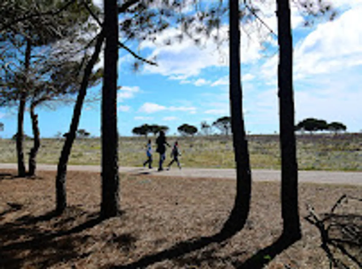 Conciergerie CocoA & Gestion locative saisonnière 66 - Le Barcarès & Port Leucate - Photo 7