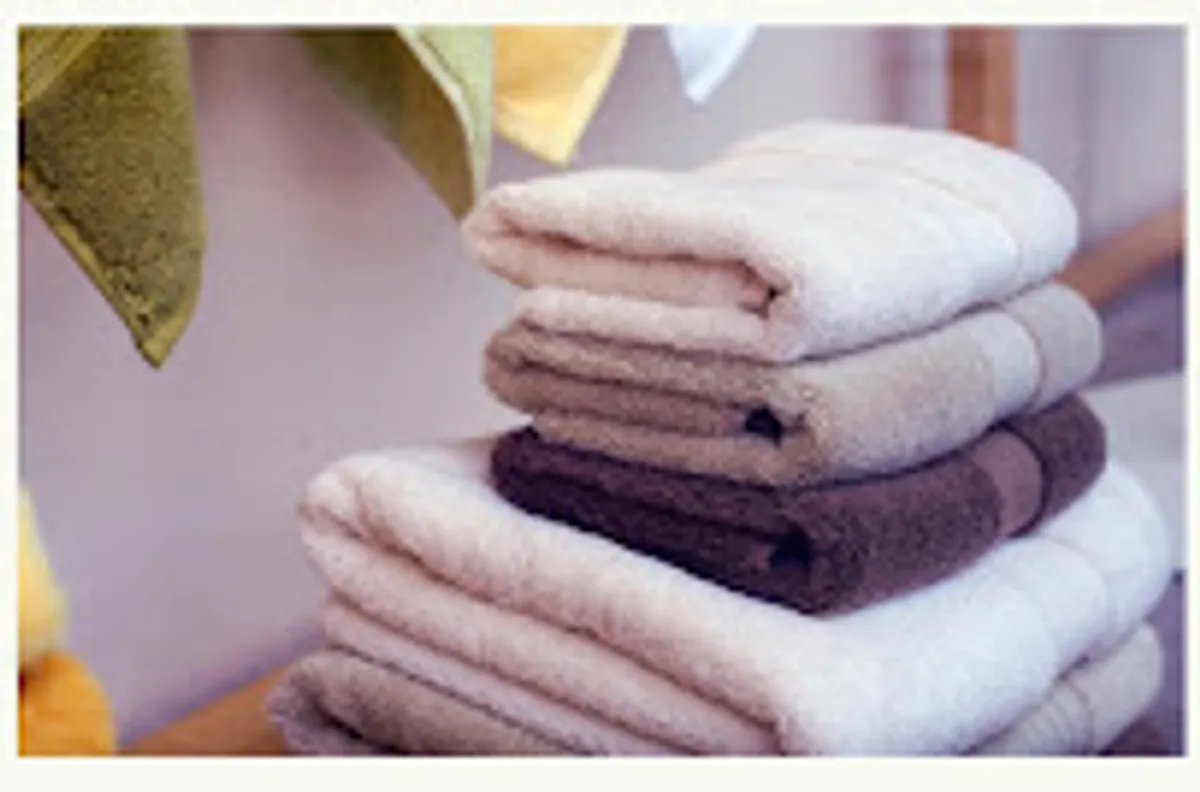 Conciergerie Collections - Photo 5