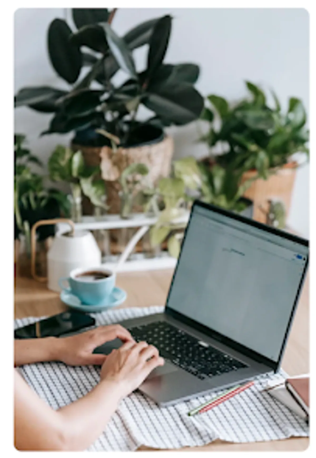 Conciergerie Collections - Photo 7