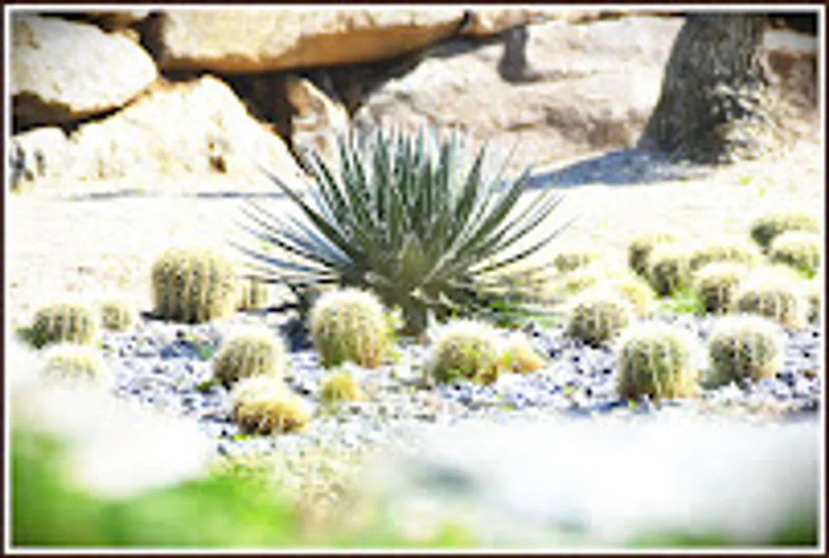 Conciergerie Corse Assistante Tourisme - Photo 2