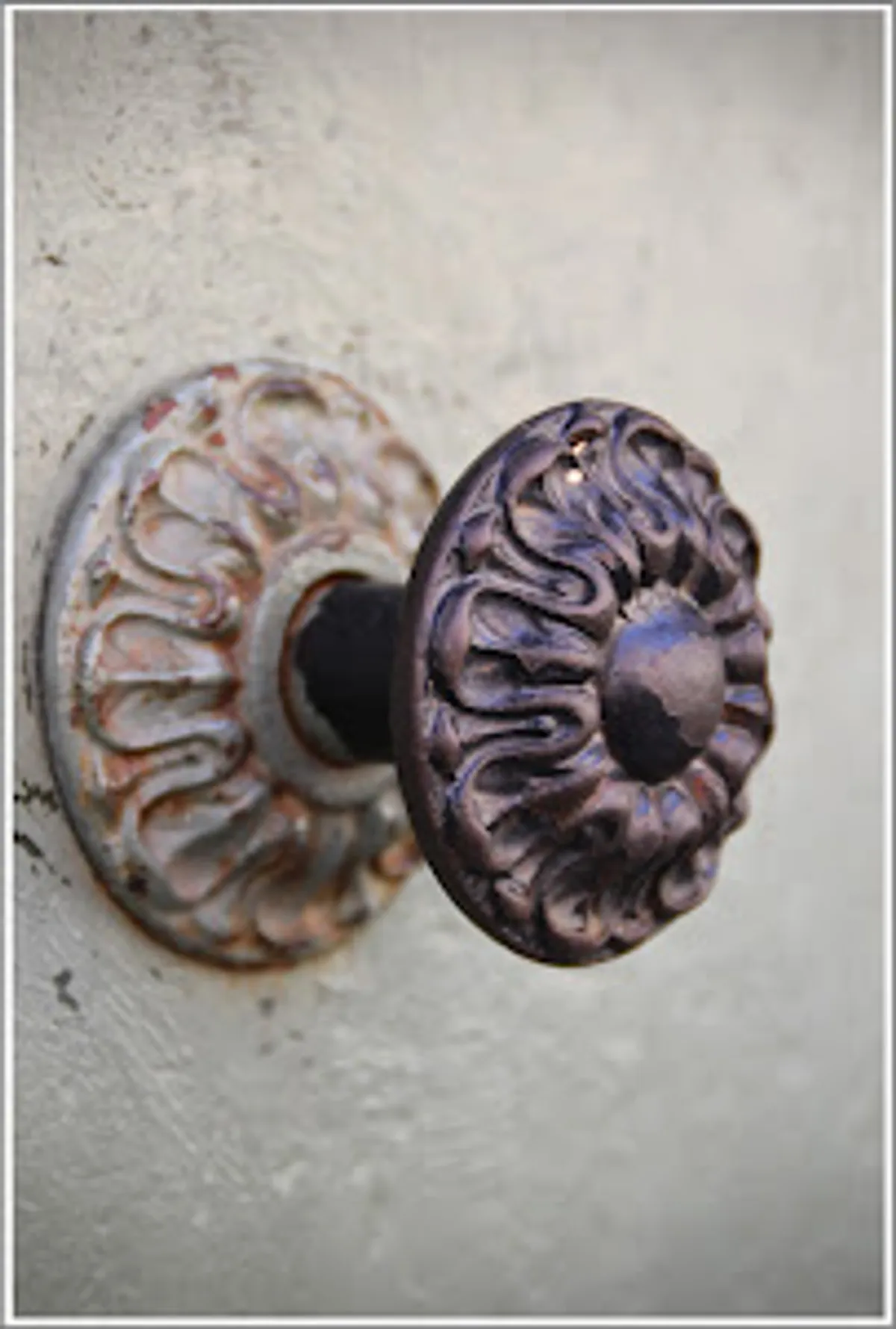 Conciergerie Corse Assistante Tourisme - Photo 8