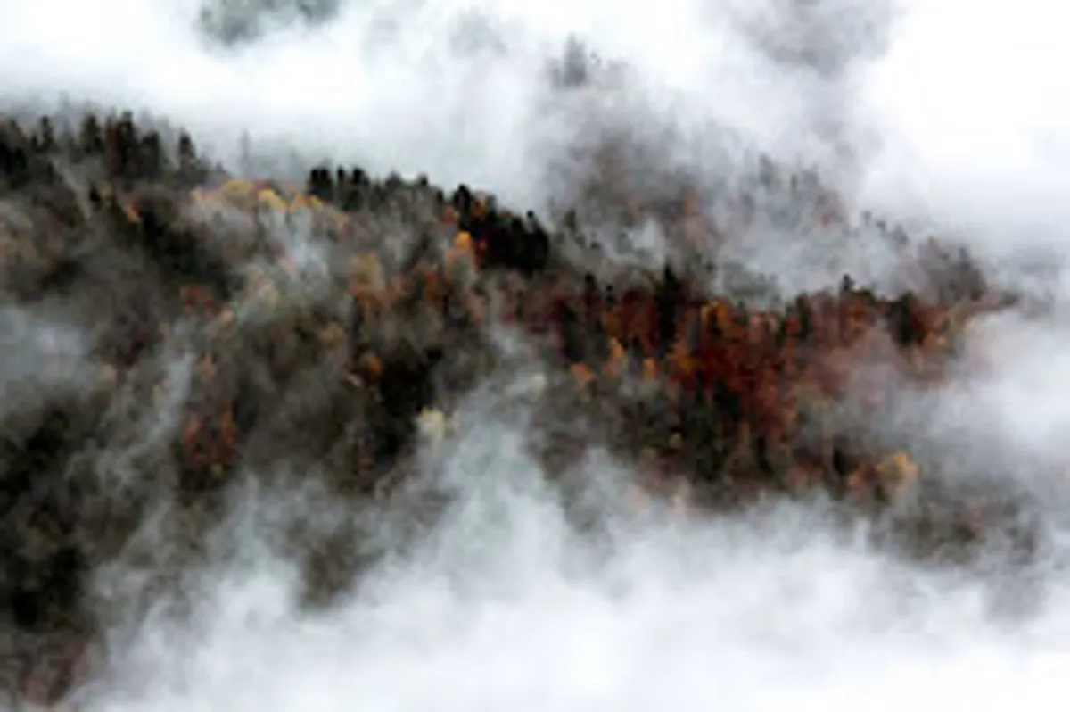 Conciergerie de la Vallée - Les Orres Embrun Savines le Lac - Photo 4